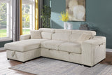 Sofa Bed (sectional sofa)with Pullout