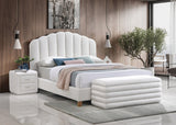 IF-5100 BED