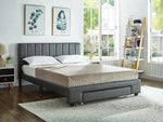 Santana Modern Platform Storage Bed