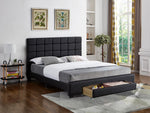 Gizelle Platform Bed with Storage Drawer