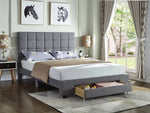 Gizelle Platform Bed with Storage Drawer