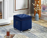 Remy Velvet Storage Ottoman